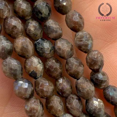 Labradoryt Kawowy / oliwka fasetowana / ok. 5x7mm