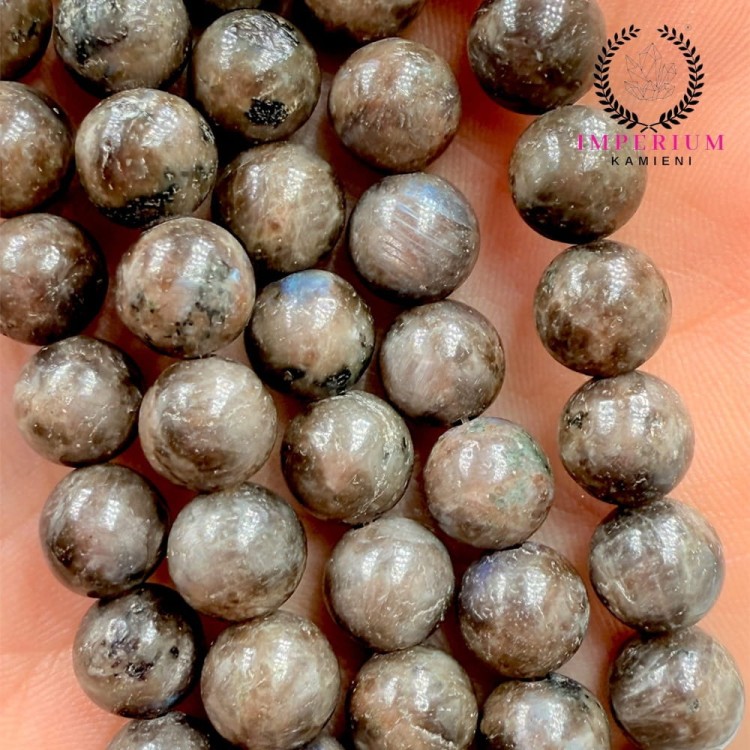 Labradoryt Kawowy / kulka gładka / ok. 8mm